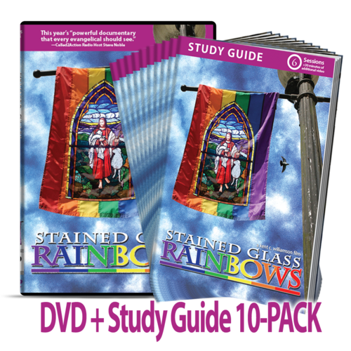 Stained Glass Rainbows DVD + Study Guide 10-PACK Bundle